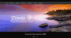Desktop Screenshot of downsfh.com